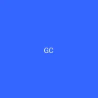 寸止挑战 - 平台Logo